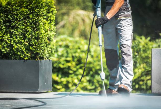Best Gutter Cleaning  in Halesite, NY